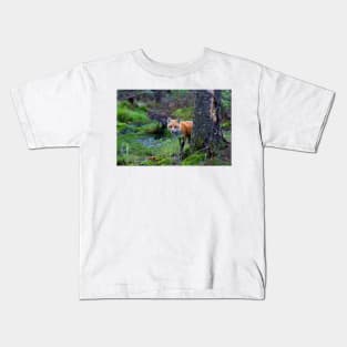 Red Fox - Algonquin Park, Canada Kids T-Shirt